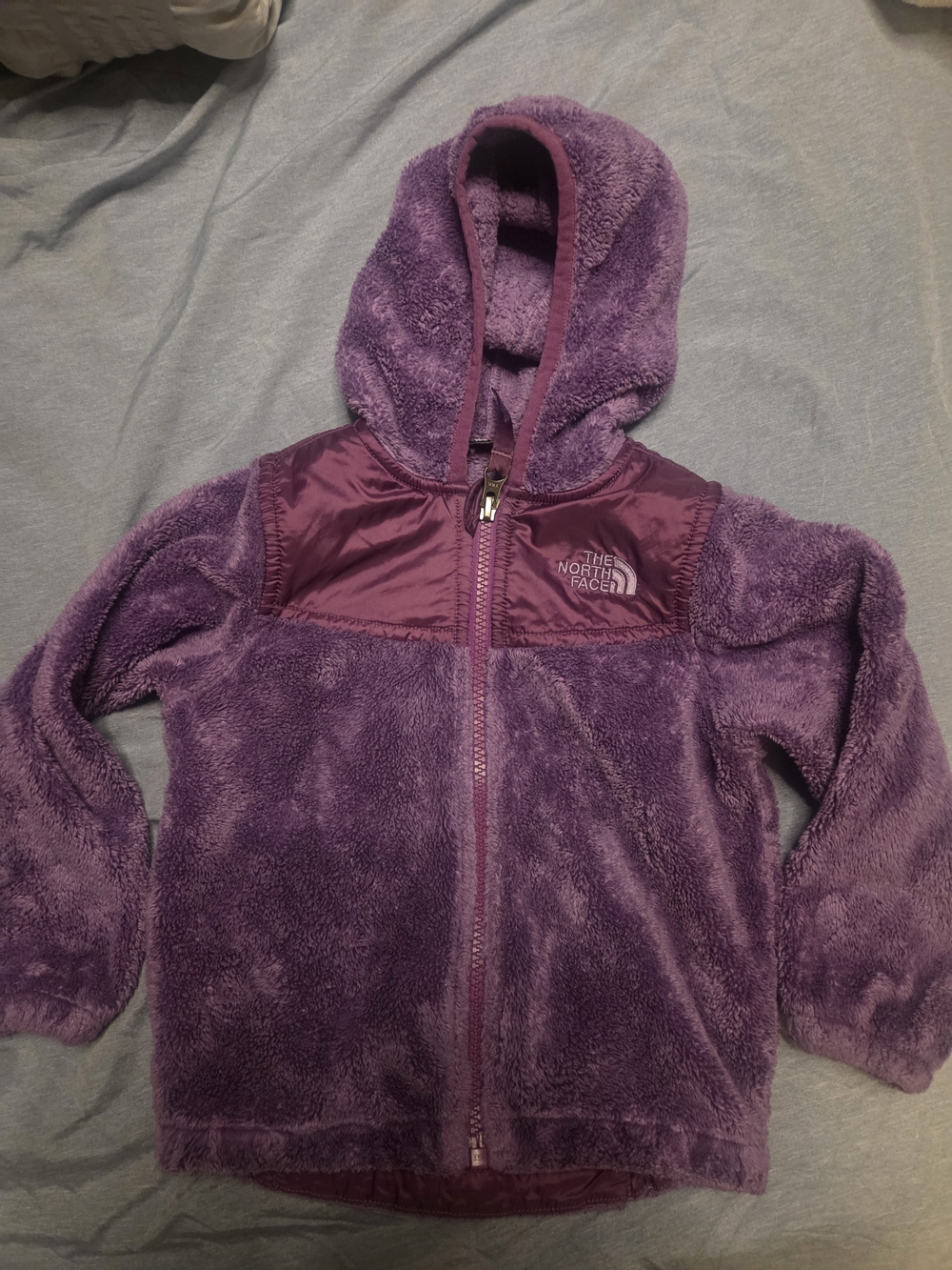 The North Face Kids Oso Fleece Jacket